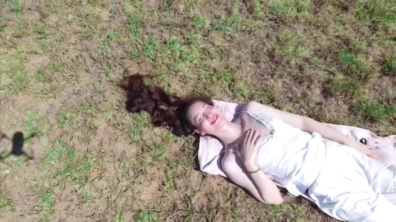 Ema lying in the grass, seen from a drone as the view rises into open nature